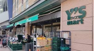 千葉市中央区松波２丁目の土地(ワイズマートペリエ西千葉店)