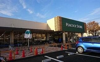 柏市篠籠田の中古一戸建て(ピーコックストア豊四季台店)