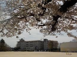 ライオンズマンション常盤平(松戸市立金ケ作小学校)