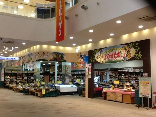 柏市松ケ崎の新築一戸建(わくわく広場モラージュ柏店)