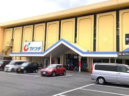 ダイアパレス新柏(カワチ薬品柏中央店)