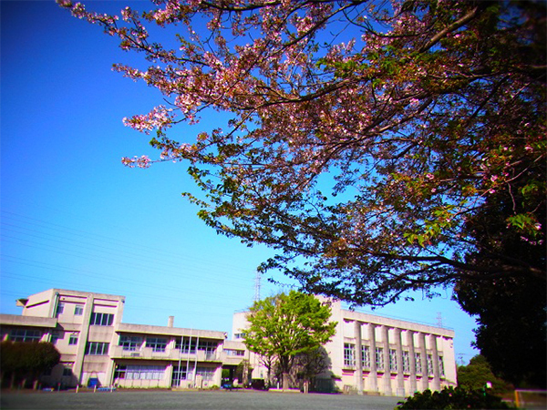 エクセレントシティ幕張本郷レジデンス(千葉市立上の台小学校)