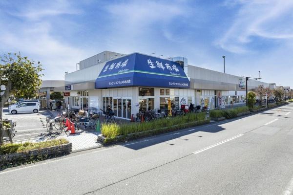 柏市南逆井６丁目の新築一戸建(FOODS　MARKET　Selectionしいの木台店)