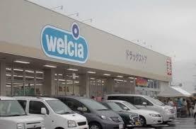 第三稲毛ハイツ28号棟(ウエルシア千葉宮野木2号店)
