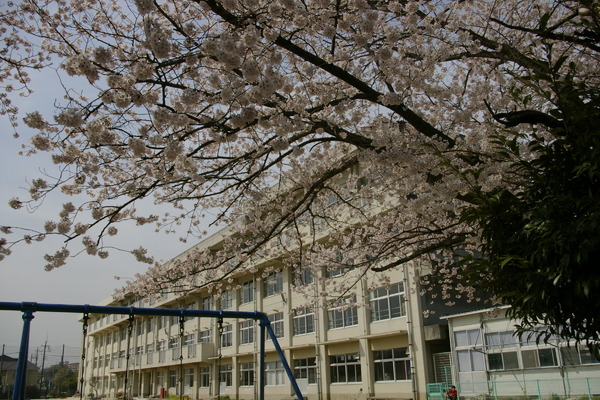 松戸市幸谷の土地(松戸市立幸谷小学校)