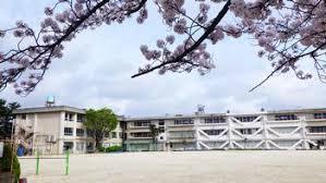 松戸市常盤平双葉町の土地(松戸市立常盤平第三小学校)