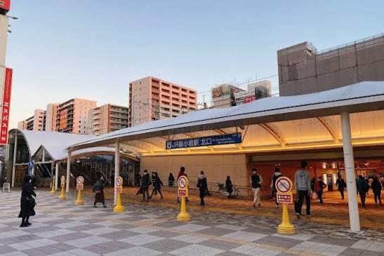 ライオンズマンション親水公園第2(新小岩駅(JR東日本総武本線))
