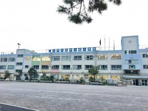 ハイツ小岩(江戸川区立中小岩小学校)