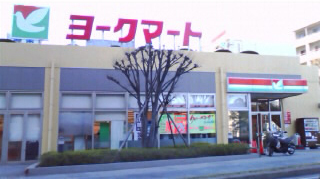 アルファグランデ西八千代(ヨークマート緑が丘店)