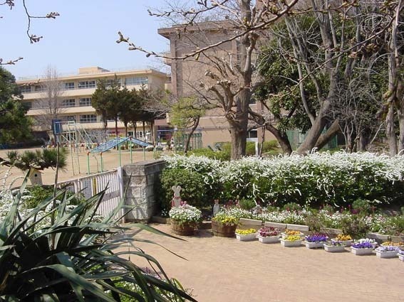 千葉市中央区松波３丁目の土地(千葉市立弥生小学校)
