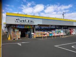 レクセルマンションつくしが丘(マツモトキヨシ柏加賀店)
