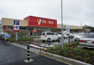 フラージュ八千代(ヤオコー八千代大和田店)