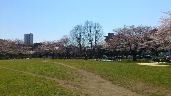 稲毛スカイタウン・ふれあいの街壱番館B棟(稲毛東公園)