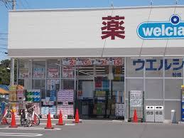 船橋市金杉8丁目の新築一戸建(ウエルシア船橋金杉店)