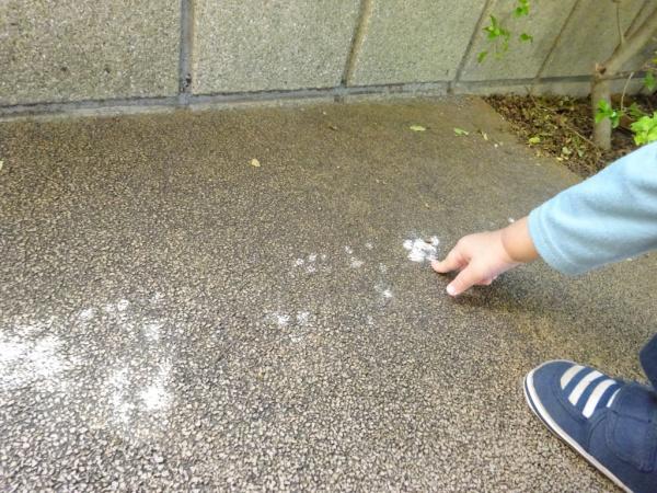 パールハイツ津田沼(ゆめのもり保育園)