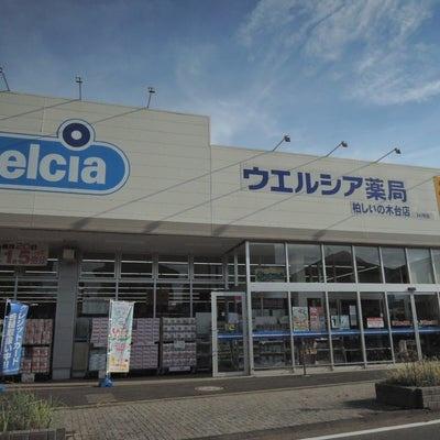 柏市高柳新田の土地(ウエルシア柏しいの木台店)