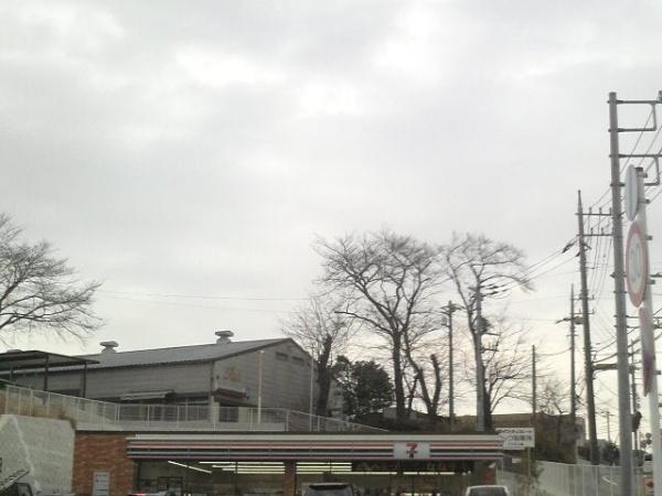 アルファグランデ八千代中央(セブンイレブン八千代医療センター西入口店)