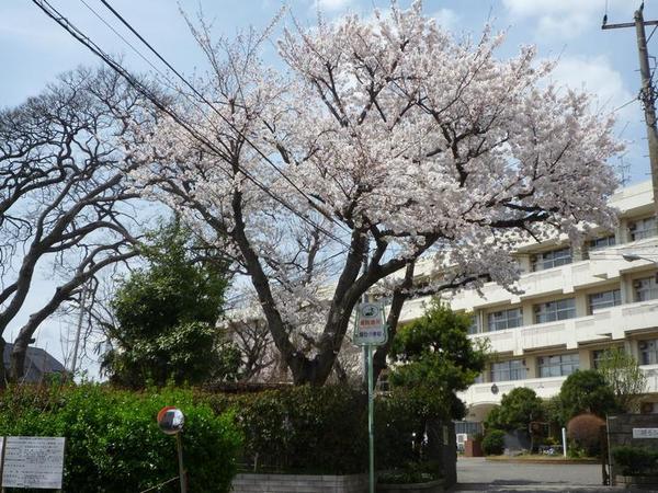 東船橋和光台ハイツ2号棟(船橋市立峰台小学校)