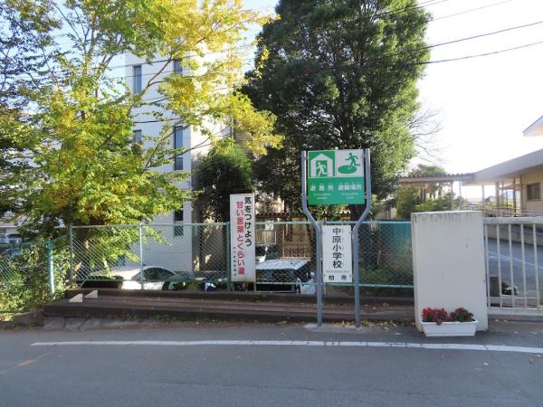 柏市つくしが丘3丁目の新築一戸建(柏市立中原小学校)