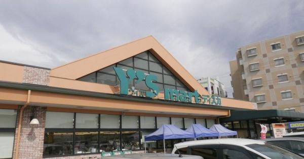 松戸市大橋の新築一戸建(ワイズマートディスカ北国分店)
