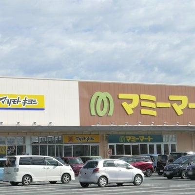 グリーンピア松戸(マツモトキヨシマミーマート松戸新田店)