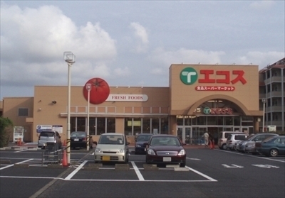 八千代市上高野の中古一戸建て(エコス佐倉店)