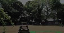 市川市市川３丁目の土地(真間山幼稚園)
