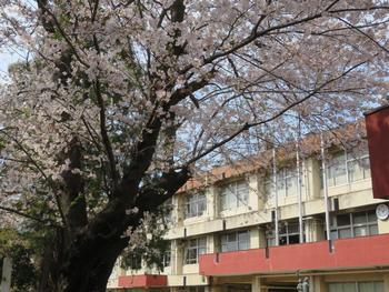 サンクレイド東松戸(松戸市立東部小学校)