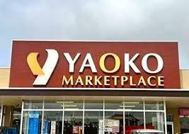 市川市稲越３丁目の新築一戸建(ヤオコー市川中国分店)