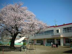 柏グリーンハイツE棟(桜台保育園)