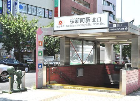 中銀桜新町マンシオン(桜新町駅(東急田園都市線))