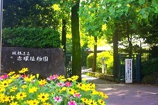 サンライフ高島平(赤塚植物園)