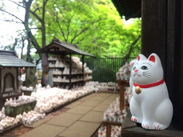 レクセル梅ヶ丘(豪徳寺)