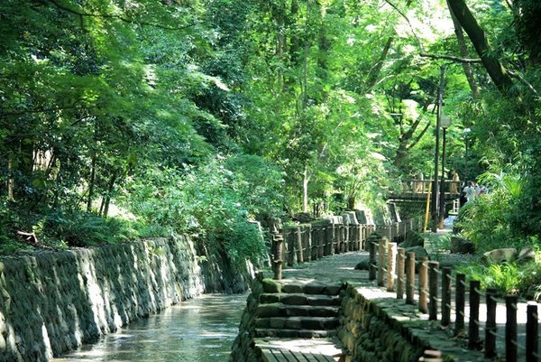 秀和等々力レジデンス(等々力渓谷公園)