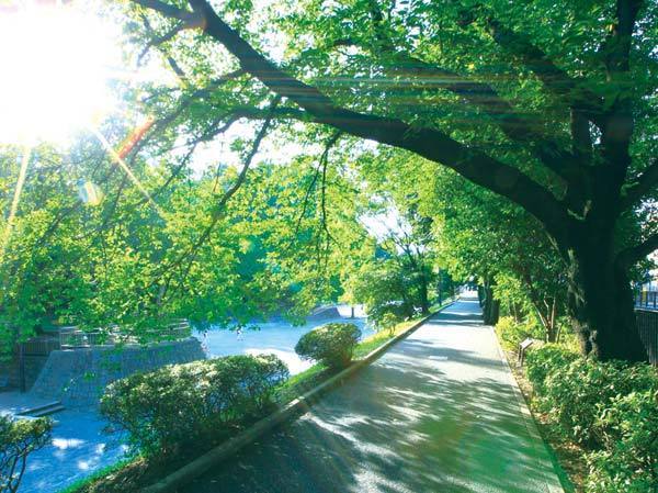 練馬区栄町の土地(江古田の森公園)