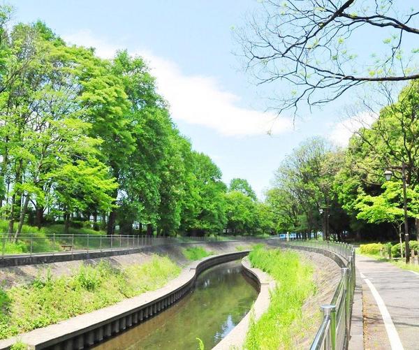 ライオンズガーデン浜田山(善福寺川緑地)