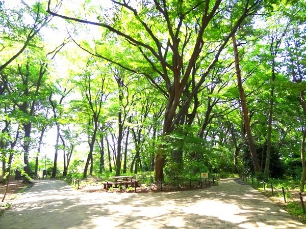 ライオンズガーデン浜田山(区立三井の森公園)