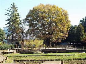 練馬区貫井４丁目の中古一戸建て(秋の陽公園)