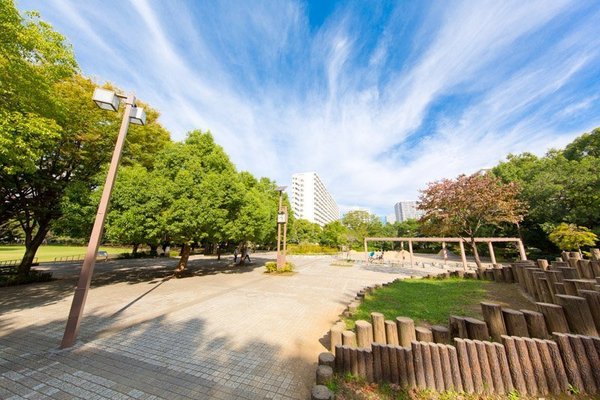 練馬区田柄２丁目の土地(夏の雲公園)