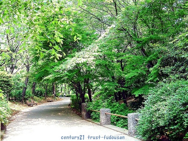 練馬区田柄２丁目の土地(春の風公園)