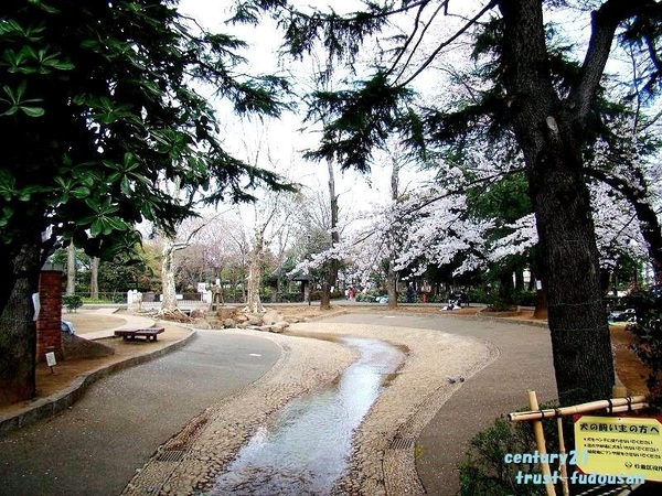 中野区中央５丁目の新築一戸建(馬橋公園)