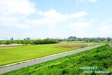 高島平第３ローヤルコーポＢ棟(荒川戸田橋緑地)