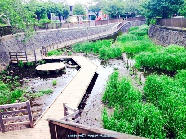 練馬区西大泉5丁目の土地(大泉井頭公園)