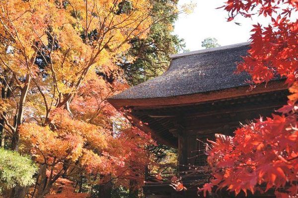 練馬区西大泉5丁目の土地(平林寺)
