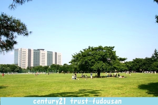 練馬区関町北３丁目の土地(武蔵野中央公園)