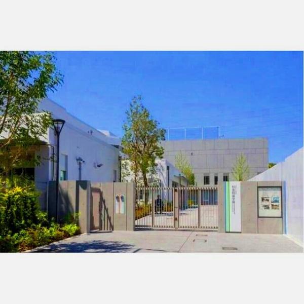 杉並区和泉１丁目の新築一戸建(杉並区立新泉和泉小学校)