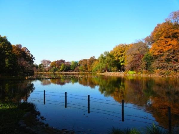 練馬区上石神井南町の土地