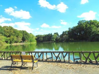 練馬区上石神井南町の土地(善福寺公園)