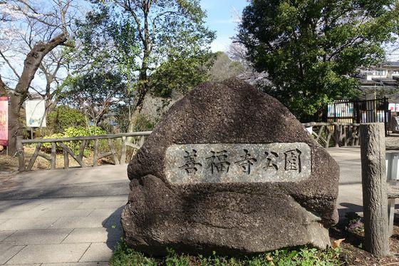 練馬区上石神井南町の土地(善福寺公園)