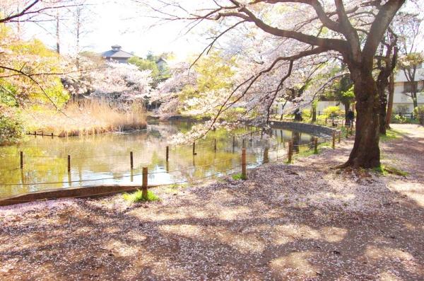 練馬区上石神井南町の土地